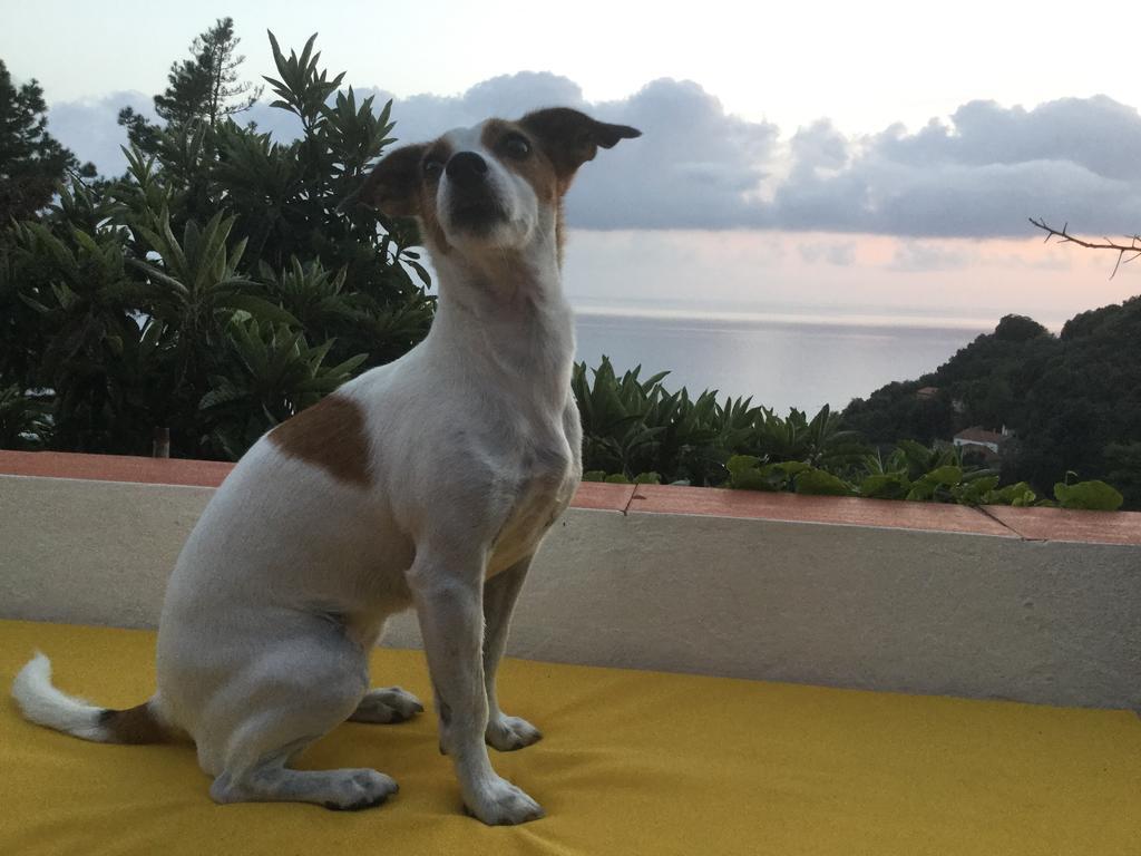 B&B Le Tre Casette Maratea Dış mekan fotoğraf