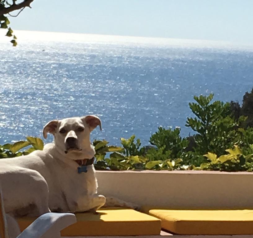 B&B Le Tre Casette Maratea Dış mekan fotoğraf